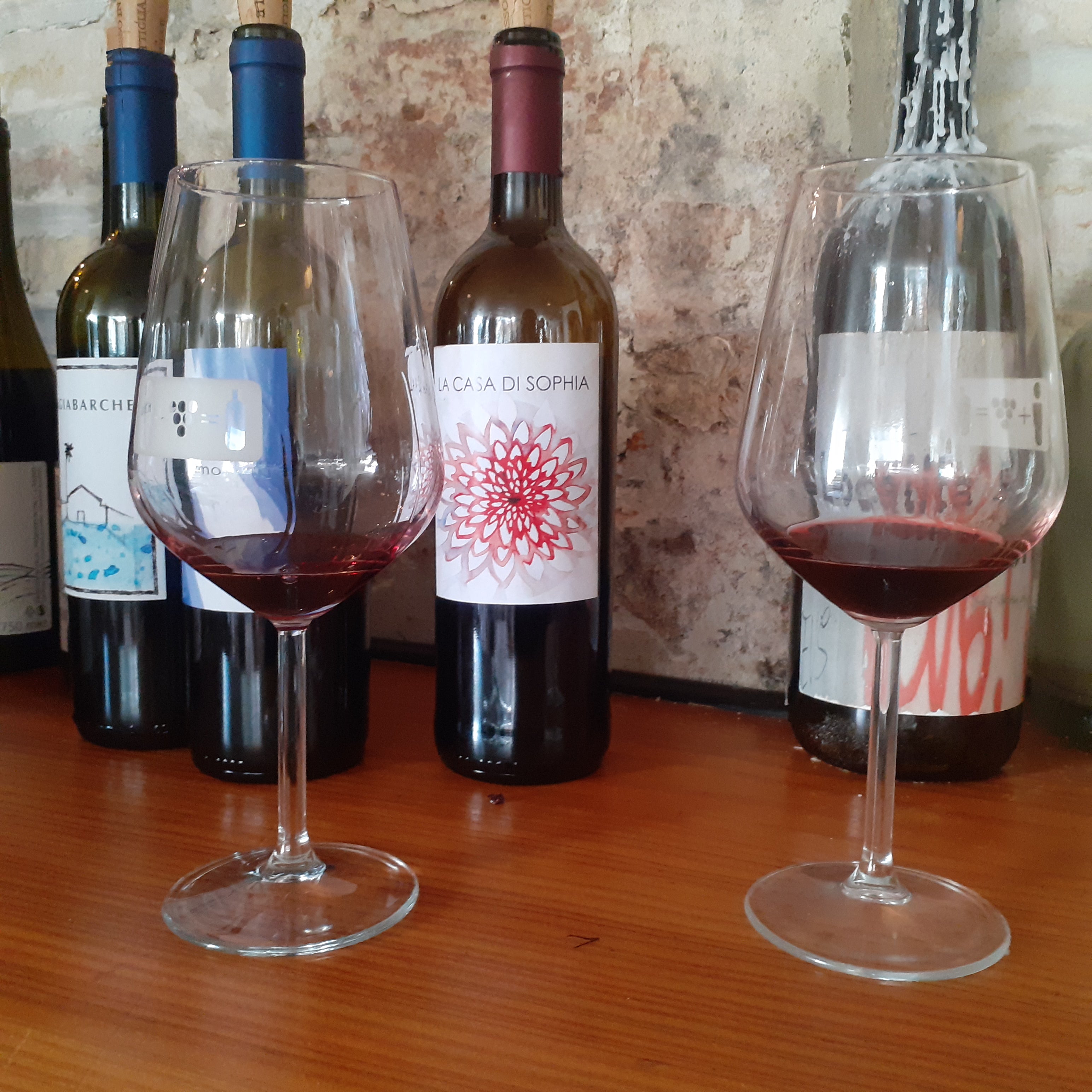 Wine tasting La Casa di Sophia