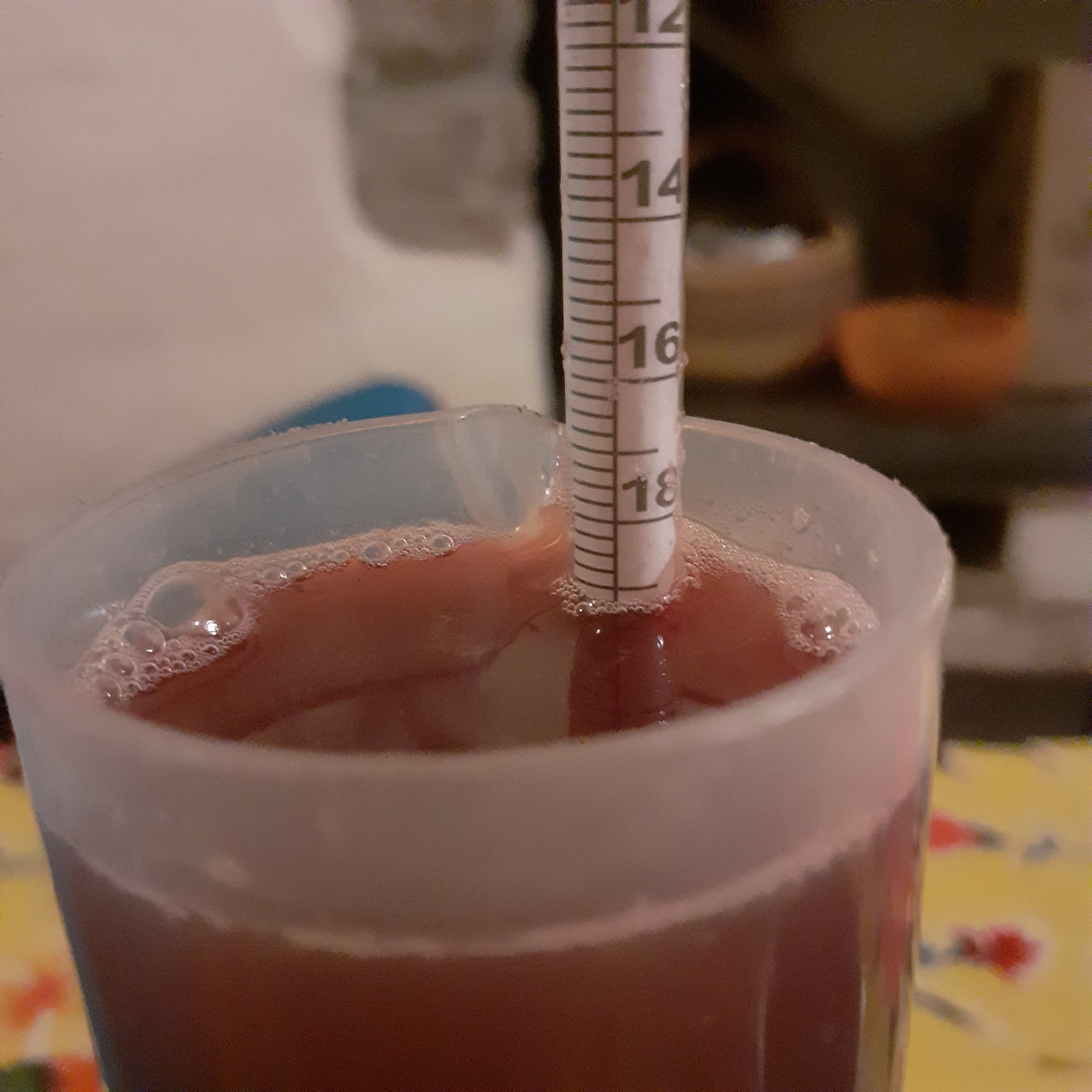 La Casa di Sophia 2023