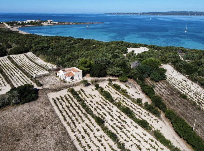 La Casa di Sophia winery next to greenery and the beaches of Sardinia