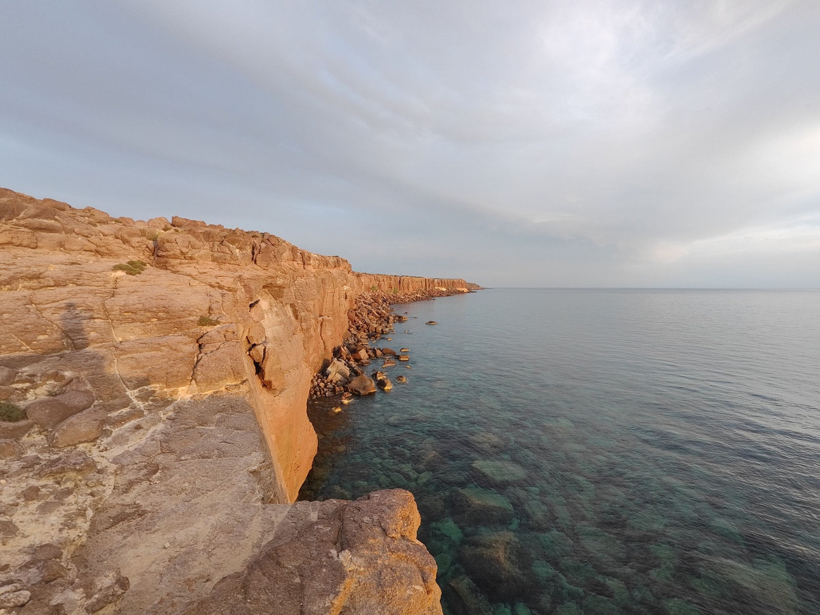 Adopt Spiaggia Grande vineyard, unique old Carignano vines on sandy soil