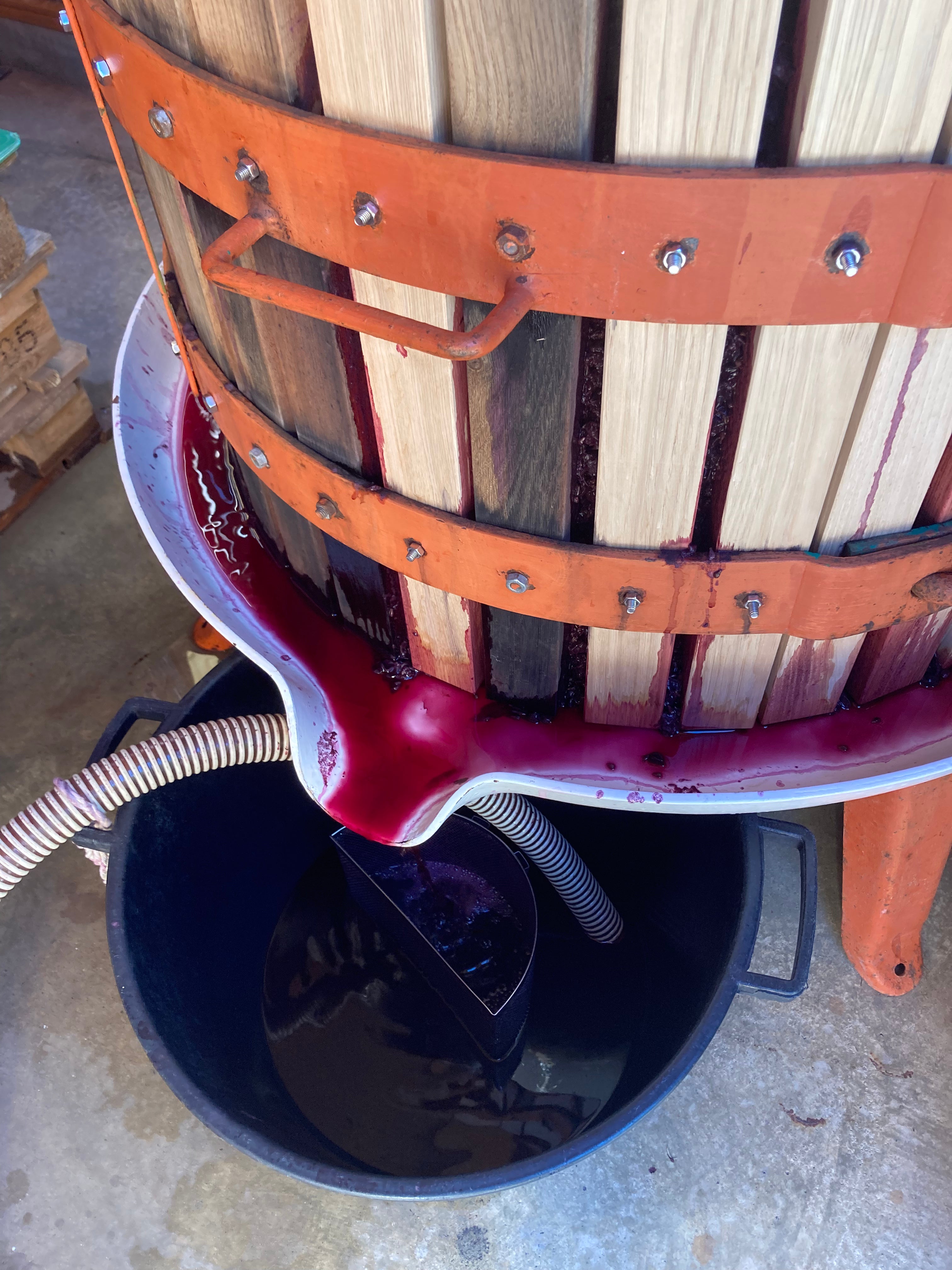 La Casa di Sophia 2023