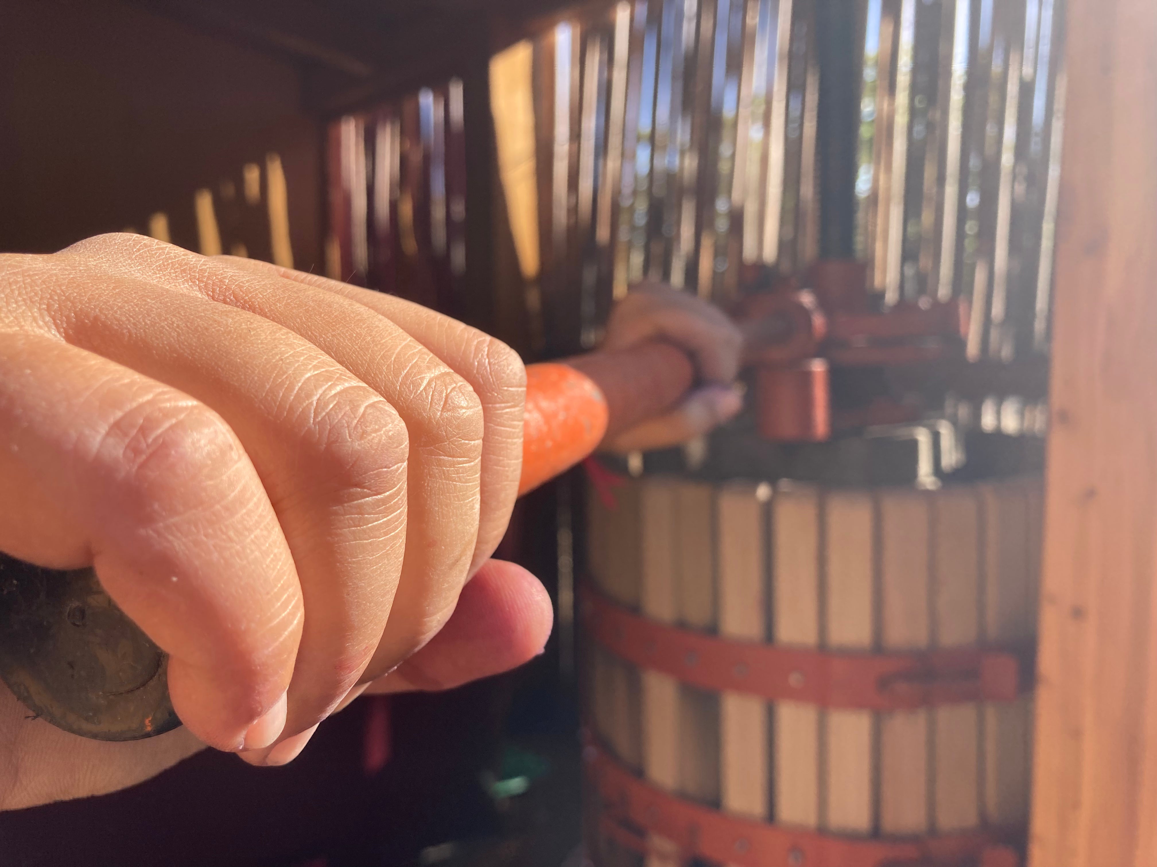 La Casa di Sophia 2023