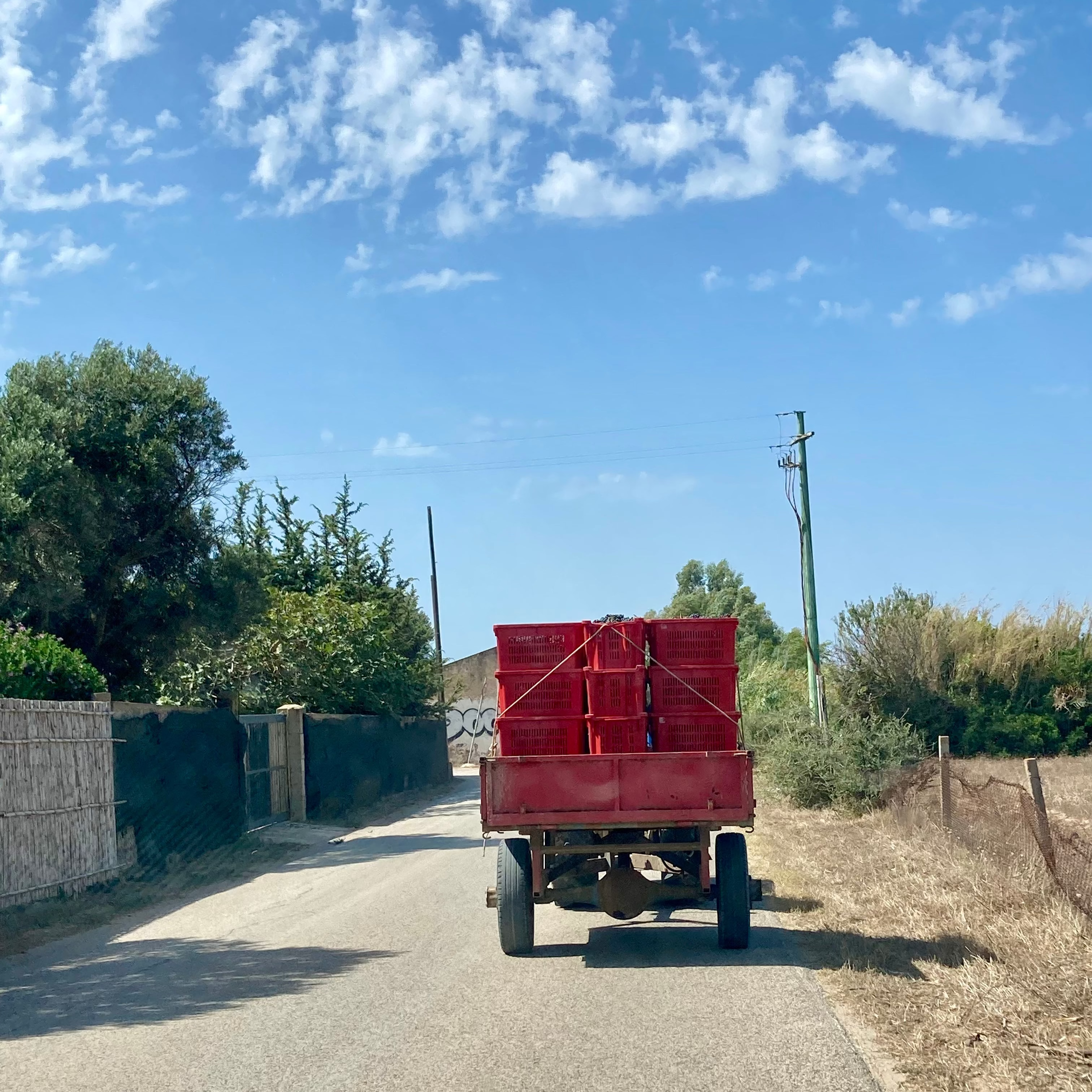 La Casa di Sophia 2023