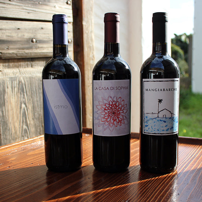 Degustazione di vini presso La Casa di Sophia